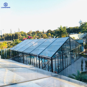 حفل زفاف فاخر واضح PVC إطار أسود خيمة كبيرة منحني متعرجة اللون اختياري الألومنيوم الصلب الإطار خيمة سرادق الحدث